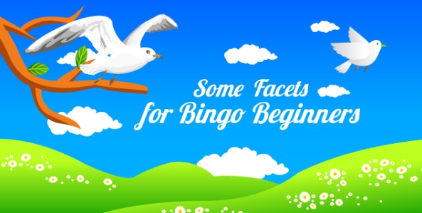 Some Facets for Bingo Beginners